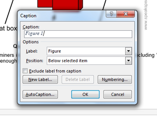 Caption options and labels.