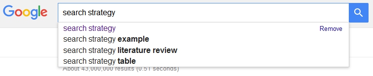 Googling 'search strategy' is a start, but not enough in itself.
