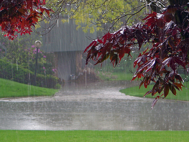 Wet, but not ironic. (Photo: chrismetcalfTV/flickr)
