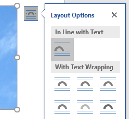 The Layout Options menu.