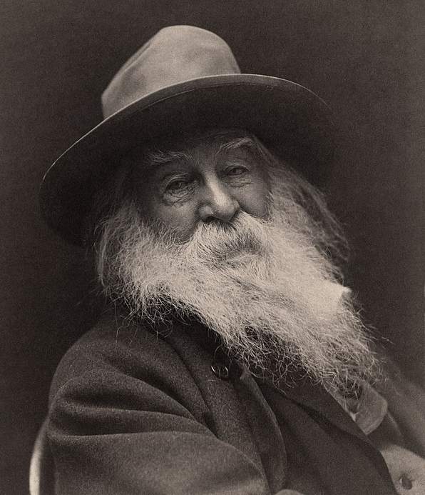 Walt Whitman's inspirational beard.