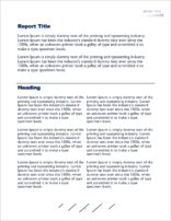 Report Formatting Example