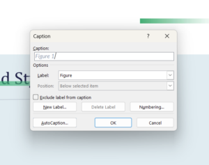 How to Add Chapter Numbers to Captions in Microsoft Word | Proofed