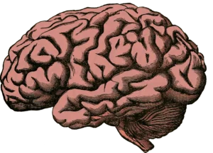 Why, brain?! You're supposed to be helping!